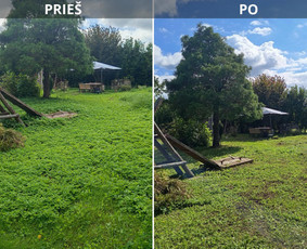 Pjaunu veją žoliapjove ir trimeriu, išrašau Sf / Tomas aplinkos priežiūra / Darbų pavyzdys ID 4125048