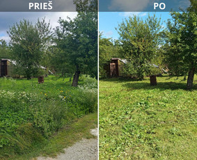 Pjaunu veją žoliapjove ir trimeriu, išrašau Sf - Vejos aeravimas - 1 Vejos aeravimas - Pjaunu veją žoliapjove ir trimeriu, išrašau Sf - 1