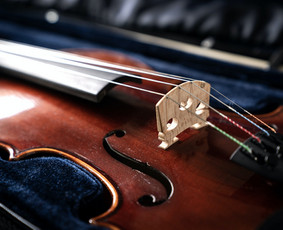 Muzikinės Paslaugos Laidotuvėms, Smuiko, violončelės muzika / Smuiko muzika laidotuvėms, smuikininkas / Darbų pavyzdys ID 4125292