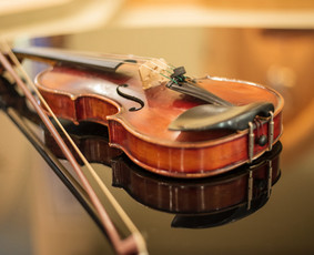 Muzikinės Paslaugos Laidotuvėms, Smuiko, violončelės muzika / Smuiko muzika laidotuvėms, smuikininkas / Darbų pavyzdys ID 4125664