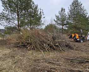 Šakų smulkintuvas, malkų skaldyklė, kelmų freza, nuoma / Henrikas / Darbų pavyzdys ID 4126160