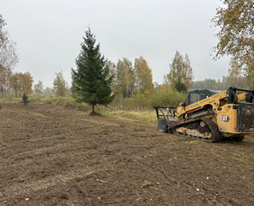 Žemės/kelmų frezavimas, apleistų sklypų tvarkymas - Medžių genėjimas, pjovimas - 3 Medžių genėjimas, pjovimas - Žemės/kelmų frezavimas, apleistų sklypų tvarkymas - 3