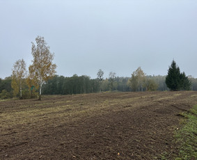 Žemės/kelmų frezavimas, apleistų sklypų tvarkymas - Medžių genėjimas, pjovimas - 2 Medžių genėjimas, pjovimas - Žemės/kelmų frezavimas, apleistų sklypų tvarkymas - 2