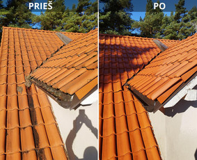 Stogų,fasadų,trinkelių, plovimas,dažymas, impregnavimas - Valymo paslaugos - 4 Valymo paslaugos - Stogų,fasadų,trinkelių, plovimas,dažymas, impregnavimas - 4