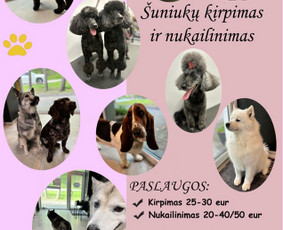 25-30 eur Šuniukų grožio procedūros (kirpimas, nukailinimas) - Paslaugos augintiniams - 1 Paslaugos augintiniams - 25-30 eur Šuniukų grožio procedūros (kirpimas, nukailinimas) - 1