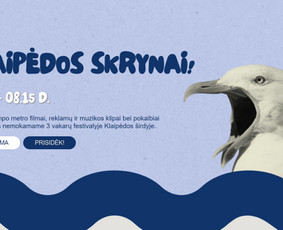 Internetinių svetainių kūrimas su rinkodaros patirtimi - Programuotojai - 4 Programuotojai - Internetinių svetainių kūrimas su rinkodaros patirtimi - 4
