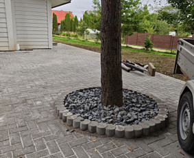 Statybinės technikos nuoma - Mini ekskavatoriaus, bobcat nuoma - 2