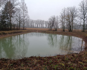 Žemės lyginimo tvenkinių kasimo plius santechnikos darbus / MB KASIUKAS / Darbų pavyzdys ID 4129610