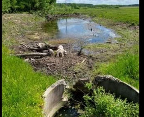 Žemės lyginimo tvenkinių kasimo plius santechnikos darbus / MB KASIUKAS / Darbų pavyzdys ID 4129612