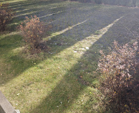 Griovimo darbai ir Šiukšlių išvežimas - Šiukšlių išvežimas - 4 Šiukšlių išvežimas - Griovimo darbai ir Šiukšlių išvežimas - 4