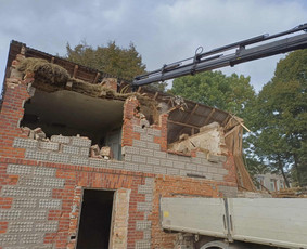 Visi griovimo-kasimo,išvežimo darbai - Kraštovaizdžio projektavimas - 4 Kraštovaizdžio projektavimas - Visi griovimo-kasimo,išvežimo darbai - 4