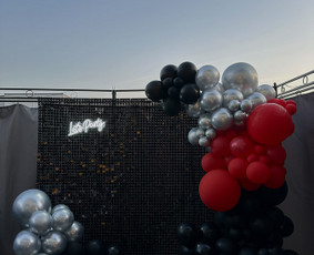 Foto sienelės nuoma - Dekoruojame vestuves, krikštynas, jubiliejus, mergvakarius - 2