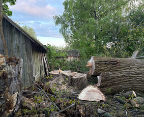 Saugus Pjūvis. Avaringų Medžių Pjovimas Genėjimas Arboristai / Saugus Pjūvis Arboristai / Darbų pavyzdys ID 4132616