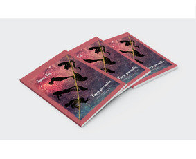 Knygos, brošiūros, katalogai, logotipai ir kiti maketai - Grafikos dizaineriai - 3 Grafikos dizaineriai - Knygos, brošiūros, katalogai, logotipai ir kiti maketai - 3