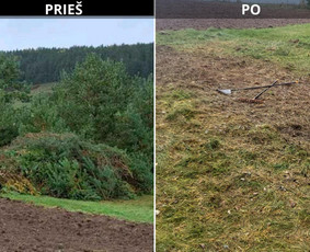 Uzleistu sklypu tvarkymas, medžiu ir krumu ispjovimas, isvez - Apleistų sklypų tvarkymas - 2 Apleistų sklypų tvarkymas - Uzleistu sklypu tvarkymas, medžiu ir krumu ispjovimas, isvez - 2