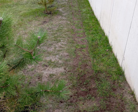 Drenažo įrengimas - Santehnika - 1