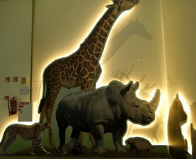 Filmavimas/montavimas, reels, Tiktokai, reklamos kūrimas - Reklaminių klipų kūrimas - 2 Reklaminių klipų kūrimas - Filmavimas/montavimas, reels, Tiktokai, reklamos kūrimas - 2