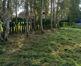 Medžių pjovimas, genėjimas / Aivaras Urnikis / Darbų pavyzdys ID 4135486