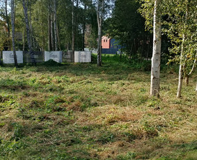 Medžių pjovimas, genėjimas / Aivaras Urnikis / Darbų pavyzdys ID 4135488