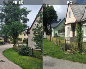 Vaismedžių genėjimas ir kiti įvairūs darbai. - Vaismedžių genėjimas - 4 Vaismedžių genėjimas - Vaismedžių genėjimas ir kiti įvairūs darbai. - 4