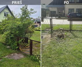 Vaismedžių genėjimas ir kiti įvairūs darbai. - Vaismedžių genėjimas - 3 Vaismedžių genėjimas - Vaismedžių genėjimas ir kiti įvairūs darbai. - 3