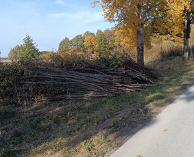 Medžių pjovimas, genėjimas - Apleistų sklypų tvarkymas - 1 Apleistų sklypų tvarkymas - Medžių pjovimas, genėjimas - 1