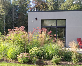 Aplinka, sodas - Sodų/želdynų priežiūra, formavimas ir vystymas - 1