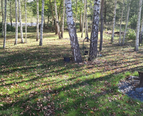 Sodų/želdynų formavimas, priežiūra ir vystymas / Jurgita Mieliauskaitė / Darbų pavyzdys ID 4135592