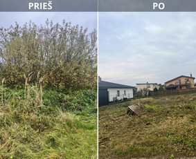 Saugus Pjūvis. Avaringų Medžių Pjovimas Genėjimas Arboristai - Apleistų sklypų tvarkymas - 3 Apleistų sklypų tvarkymas - Saugus Pjūvis. Avaringų Medžių Pjovimas Genėjimas Arboristai - 3