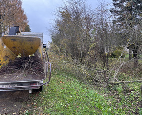 Tvarkingi Sklypai Panevėžyje / Egidijus Ablėnas / Darbų pavyzdys ID 4136900