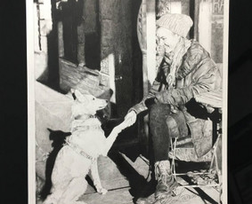 Portretų piešimas iš nuotraukų - Profesionalus Realistinių Portretų Tapymas Aliejumi - 1