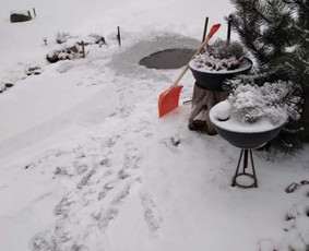 Nuomuojama pirtis - Pirties nuoma - 2 Pirties nuoma - Nuomuojama pirtis - 2