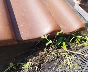 Stogų ir lietvamzdžių valymas - Stogų, fasadų, plovimas, ventiliacija, auk&scaron;talipiai - 3