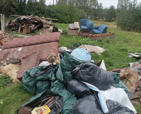 Statybinių šiukšlių baldų išvežimas pervežimas perkraustymas / Ričardas / Darbų pavyzdys ID 4139596