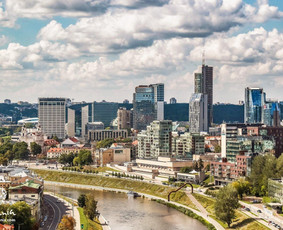 Kitos kategorijos - Įmonės ir fizinio asmens registracija-deklaravimas - 1