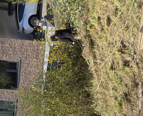 &Scaron;akų smulkinimas - Teritorijiu tvarkimas ,medžiu pjiovimas ,pastatu griovimas! - 2