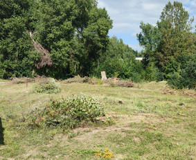 Teritorijiu tvarkimas ,medžiu pjiovimas - Statybos, apdaila - 3 Statybos, apdaila - Teritorijiu tvarkimas ,medžiu pjiovimas - 3