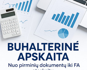 Įmonių buhalterinės apskaitos tvarkymas - Buhalterinės apskaitos paslaugos. Įmonių steigimas - 4