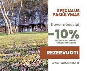 Socialinių tinklų administravimas, Meta Ads, Google Ads / Vilma Stan / Darbų pavyzdys ID 4140544