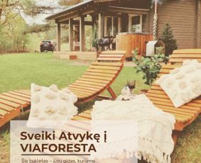 Socialinių tinklų administravimas, Meta Ads, Google Ads / Vilma Stan / Darbų pavyzdys ID 4140554