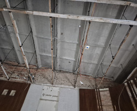 Griovimo darbai šiukšliu išvežimas / Audrius / Darbų pavyzdys ID 4140796