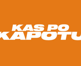 Profesionali automobilio apžiūra I Pagalba perkant - Konsultacija perkant automobilį - 1 Konsultacija perkant automobilį - Profesionali automobilio apžiūra I Pagalba perkant - 1