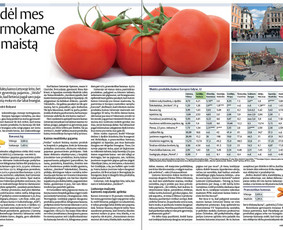 Leidinių dizainas / Vykintas Characiejus / Darbų pavyzdys ID 4141990