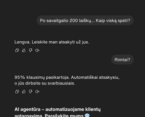 Dirbtinio intelekto virtualus asistentas verslui - Virtualaus asistento paslaugos - 2 Virtualaus asistento paslaugos - Dirbtinio intelekto virtualus asistentas verslui - 2