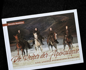 Leidinių dizainas / Vykintas Characiejus / Darbų pavyzdys ID 4142168