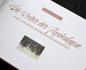 Leidinių dizainas / Vykintas Characiejus / Darbų pavyzdys ID 4142172