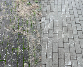 Visos plovimo ir valymo paslaugos– visoje Lietuvoje! / ŠVAROS DOKAS / Darbų pavyzdys ID 4142610