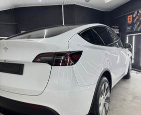 Poliravimas, cheminis valymas, apsauginės dangos-šiauliai / WestSide - Garage / Darbų pavyzdys ID 4142872