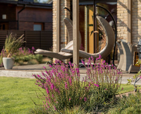 Rolanda I Dizainas (apželdinimo sprendimai) - Aplinkos tvarkymas, apželdinimas - 1 Aplinkos tvarkymas, apželdinimas - Rolanda I Dizainas (apželdinimo sprendimai) - 1