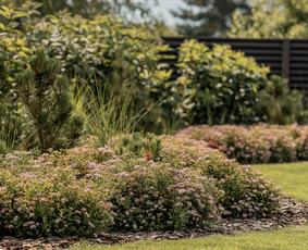 Rolanda I Dizainas (apželdinimo sprendimai) - Aplinkos tvarkymas, apželdinimas - 3 Aplinkos tvarkymas, apželdinimas - Rolanda I Dizainas (apželdinimo sprendimai) - 3